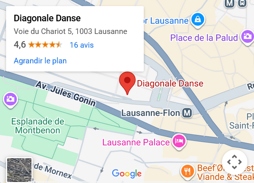 Screenshot 2026-02-23 at 09-25-22 Diagonale Danse - Google Maps.png